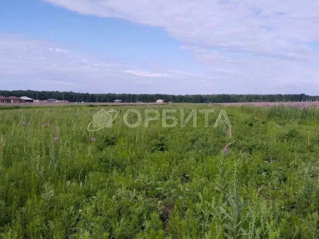 Участок в Тюменская область, Тюменский район, с. Каменка  (40.0 сот.) - Фото 0