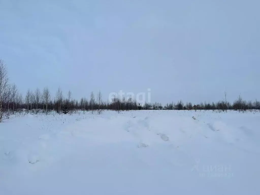 Участок в Марий Эл, Медведевский район, Шойбулакское с/пос, д. Кюшнур ... - Фото 1