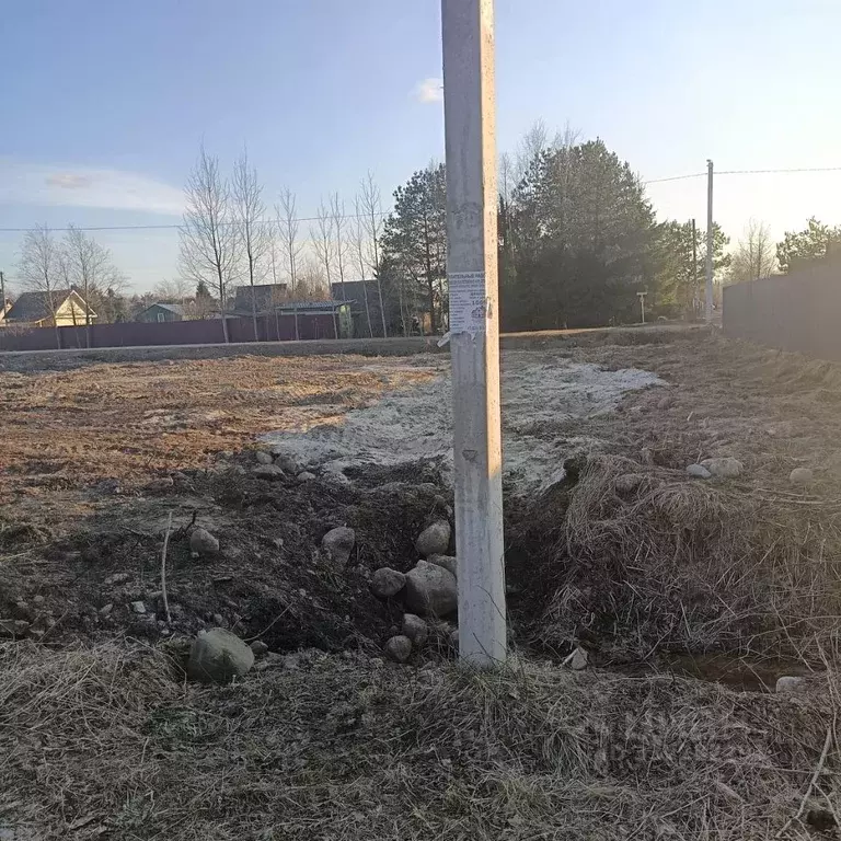 Участок в Ленинградская область, Кировское городское поселение, ... - Фото 2