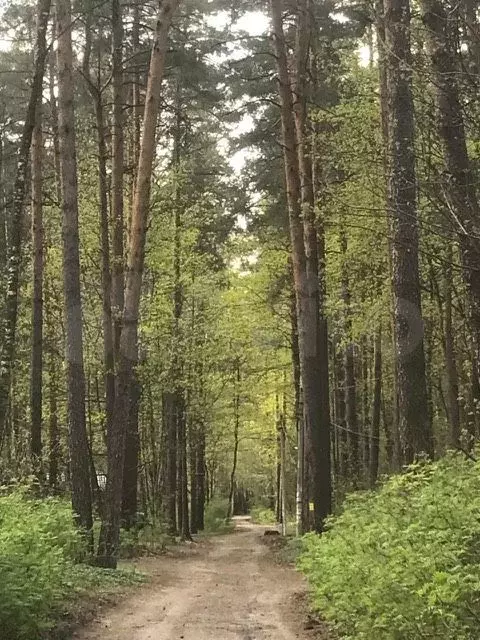 Дом 45 м на участке 34 сот. - Фото 0
