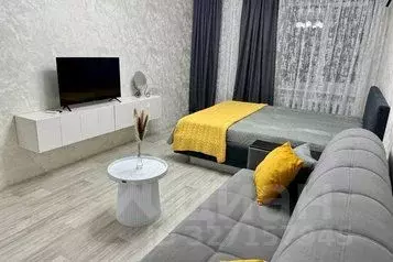 1-к кв. Татарстан, Елабуга 4/5 мкр, ул. Хирурга Нечаева, 16 (42.0 м) - Фото 1