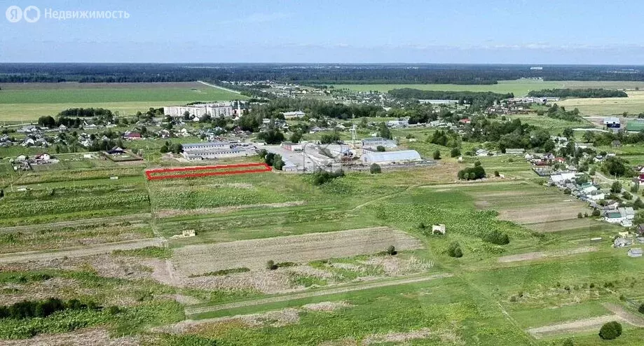 Участок в Волосовский район, Рабитицкое сельское поселение, деревня ... - Фото 1