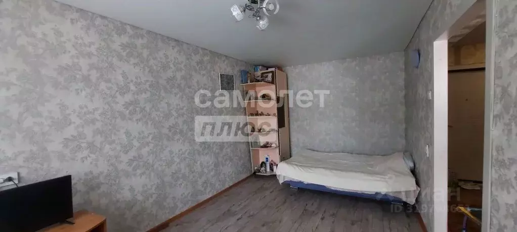 1-к кв. Алтайский край, Бийск ул. Александра Пушкина, 188к3 (30.2 м) - Фото 2