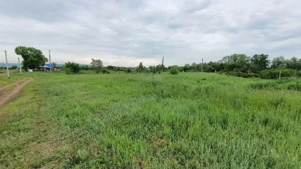Участок в Самарская область, Красноармейский район, Колывань с/пос, с. ... - Фото 2
