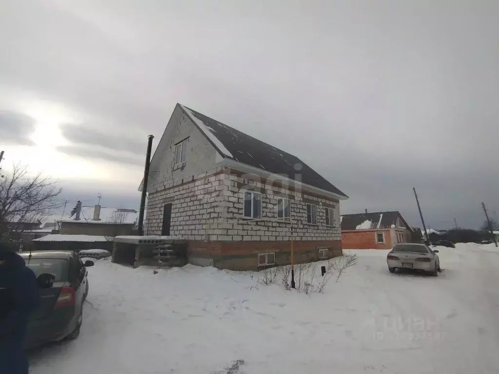 Дом в Челябинская область, с. Аргаяш ул. Озерная (261 м) - Фото 2