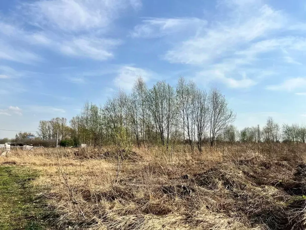 Участок в Владимирская область, Суздальский район, с. Новоалександрово ... - Фото 1