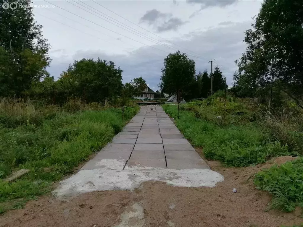 Участок в Кингисеппский район (46 м) - Фото 2