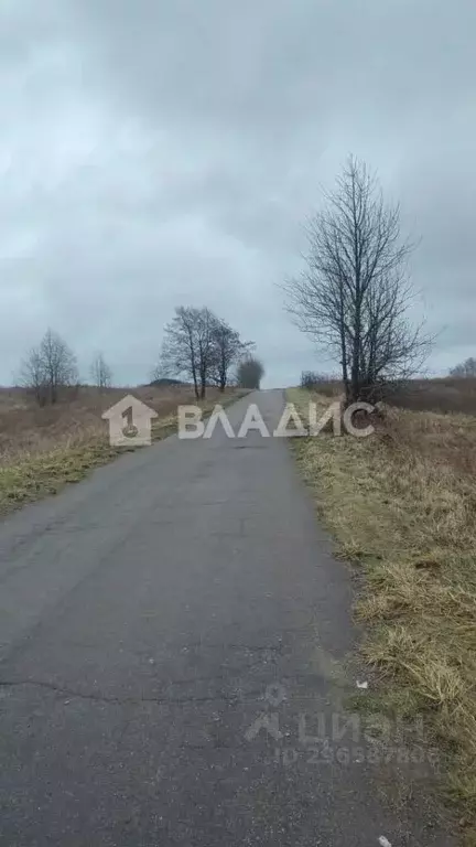 Участок в Калининградская область, Зеленоградский муниципальный округ, ... - Фото 0