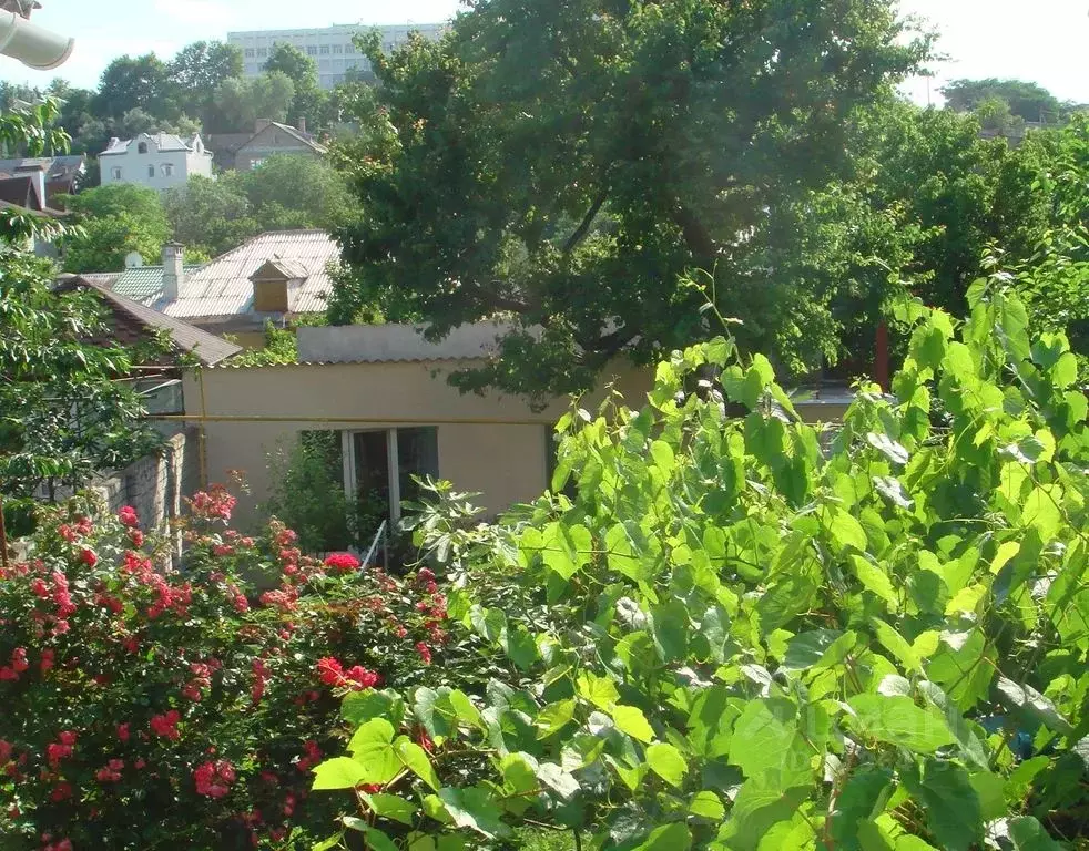 Дом в Севастополь ул. Лизы Чайкиной, 10 (20 м) - Фото 2