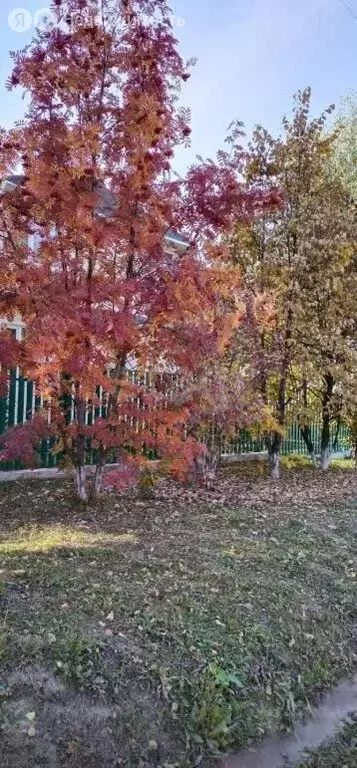 Участок в Новосибирск, улица Полякова (758 м) - Фото 2