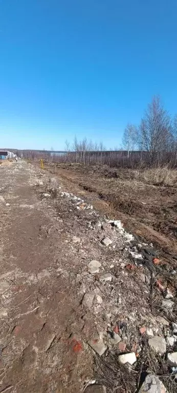 Участок в Нижегородская область, Богородский муниципальный округ, д. ... - Фото 1