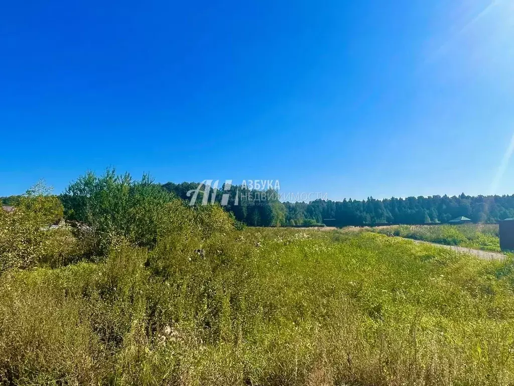 Участок в Московская область, Пушкинский городской округ, с. Ельдигино ... - Фото 0