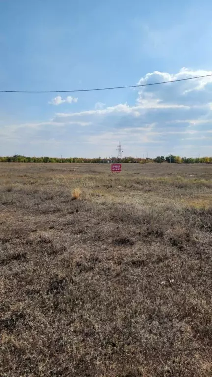 Участок в Оренбургская область, Оренбург городской округ, с. Городище  ... - Фото 1