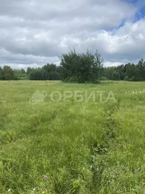 Участок в Тюменская область, Тюмень Зайкова мкр, ул. Сиреневая (10.38 ... - Фото 1