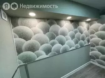 Помещение свободного назначения (13.3 м) - Фото 0