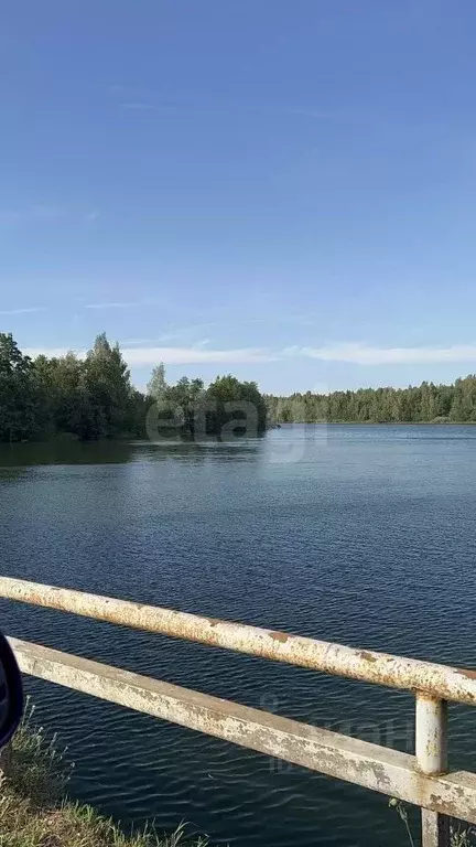 Участок в Ленинградская область, Кингисеппский район, Пустомержское ... - Фото 1