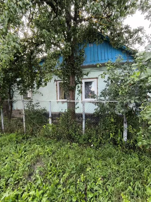 Дом 55,3 м на участке 5 сот. - Фото 1
