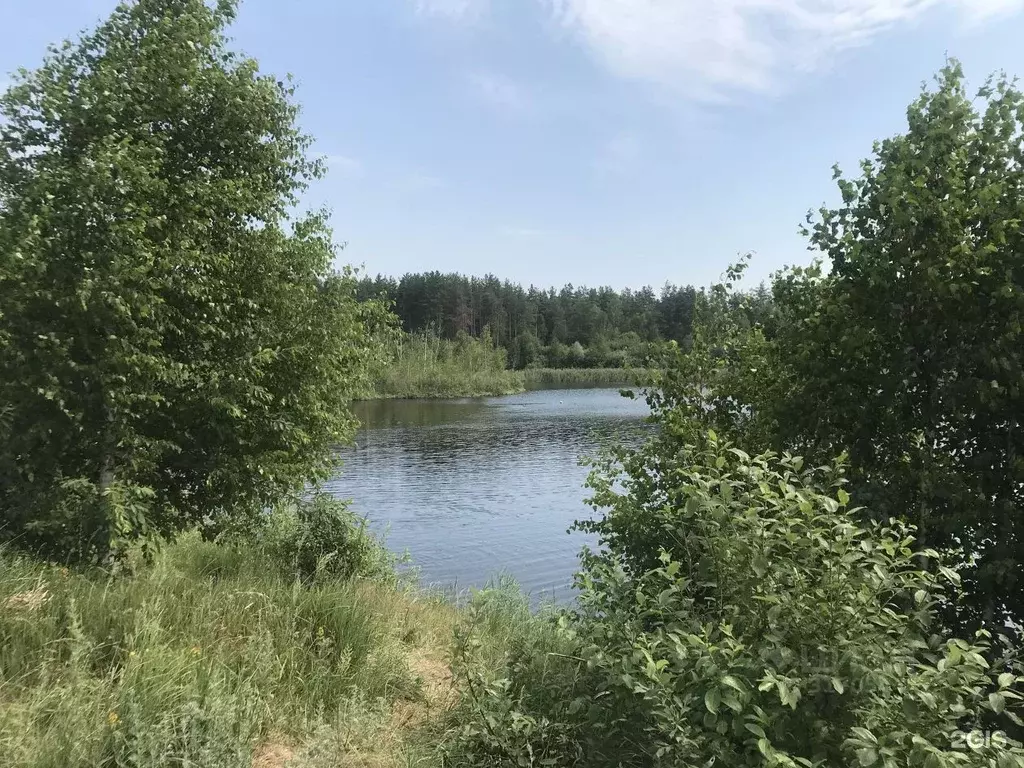 Участок в Самарская область, Ставропольский район, Нижнее Санчелеево ... - Фото 1