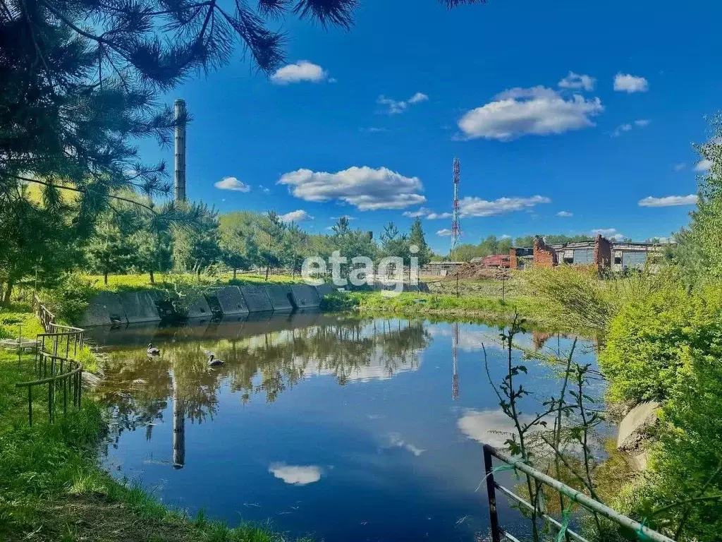 Участок в Владимирская область, Петушинский муниципальный округ, д. ... - Фото 1