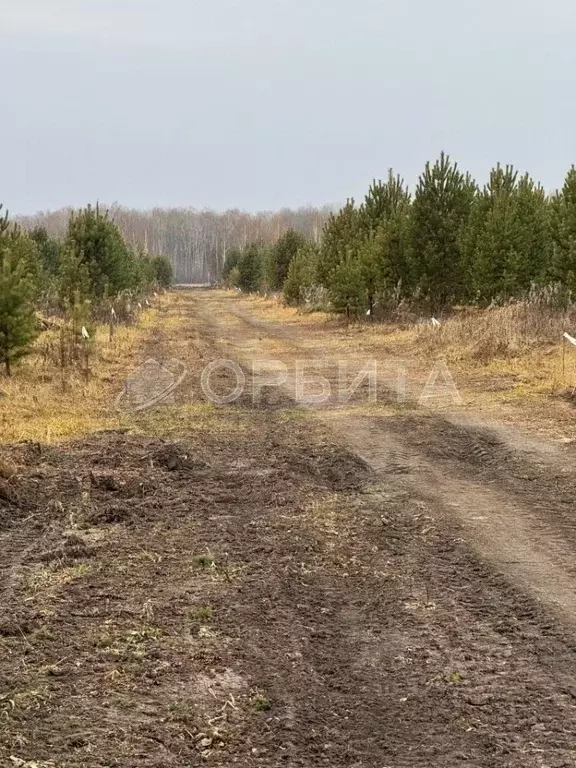 Участок в Тюменская область, Тюменский муниципальный округ, с. ... - Фото 0