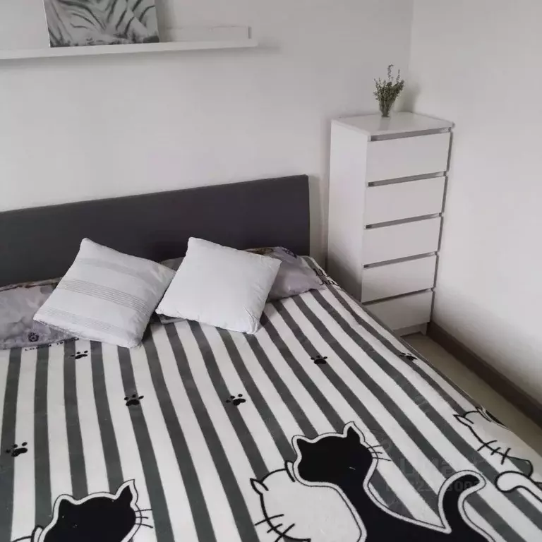 Студия Московская область, Балашиха Салтыковка мкр, Школьная ул., 15 ... - Фото 1