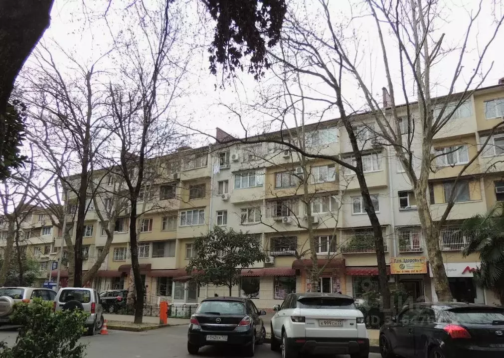1-к кв. Краснодарский край, Сочи Центральный мкр, ул. Роз, 63 (31.4 м) - Фото 1