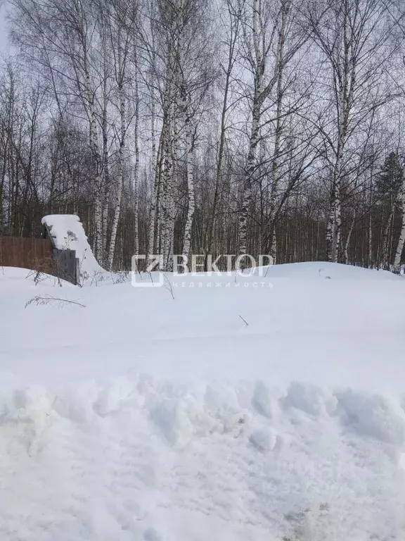 Участок в Костромская область, Кострома пос. Гари, 18 (7.8 сот.) - Фото 1