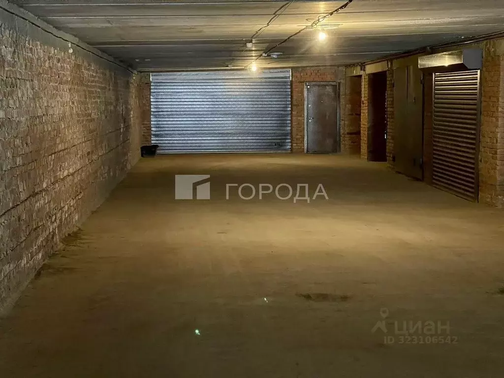 Помещение свободного назначения в Новосибирская область, Новосибирск ... - Фото 1