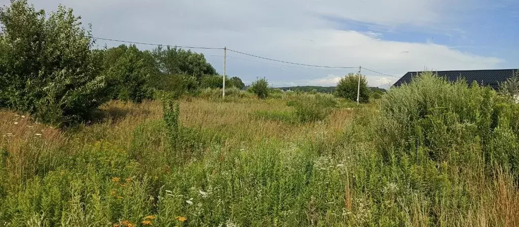 Участок в Калининградская область, Зеленоградский муниципальный округ, ... - Фото 1