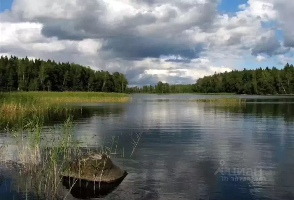 Участок в Ленинградская область, Всеволожский район, Куйвозовское ... - Фото 0