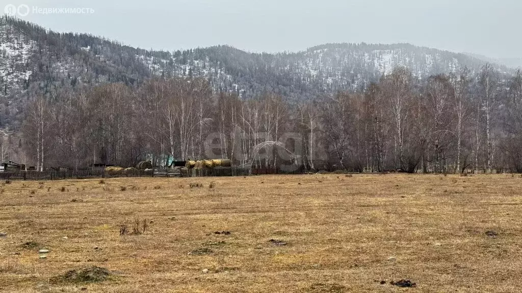 Участок в Усть-Коксинский район, посёлок Гагарка (18 м) - Фото 2