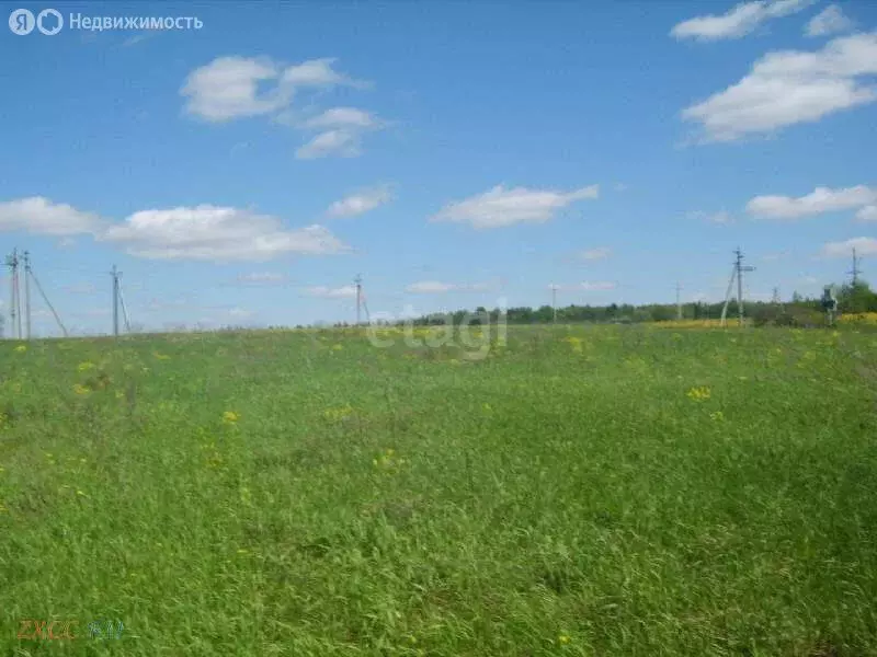 Участок в село Александровка, Васильковая улица (9.2 м) - Фото 0