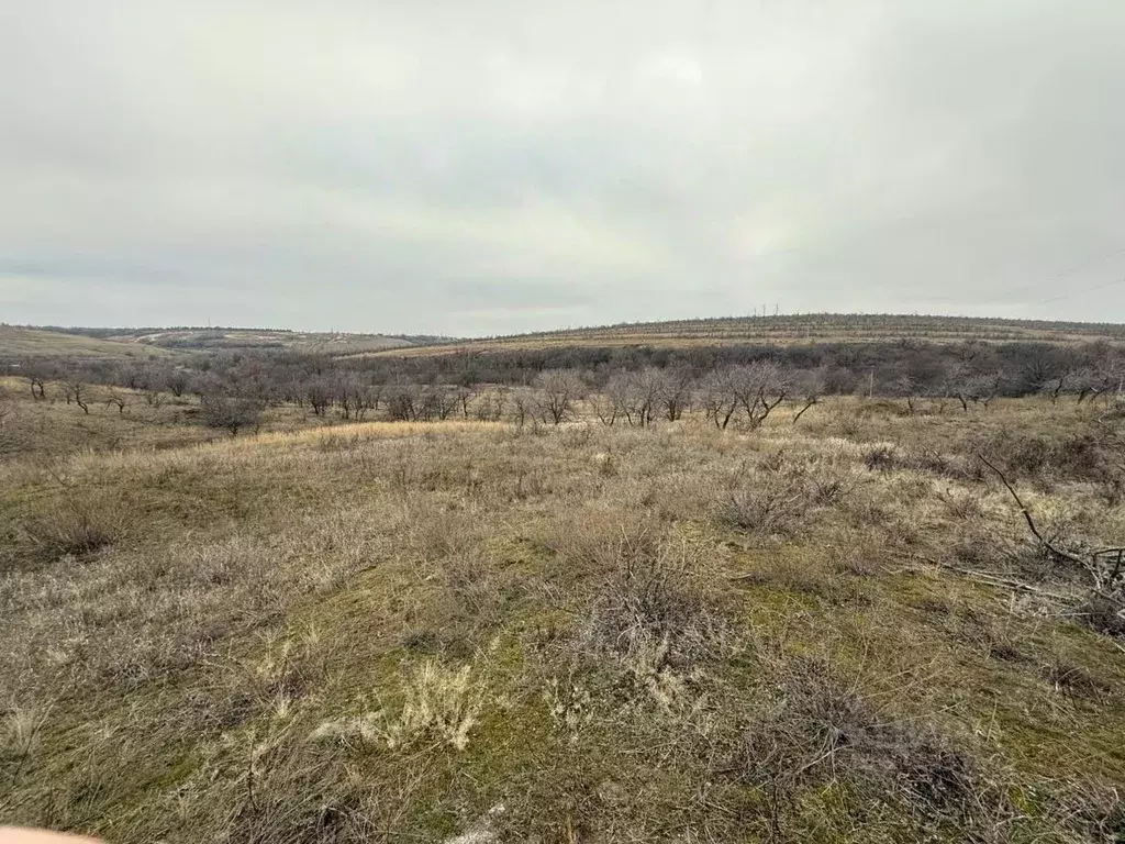 Участок в Волгоградская область, Городищенский район, Царицынское ... - Фото 0