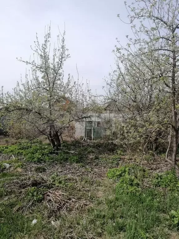 Дом 100 м на участке 6 сот. - Фото 0