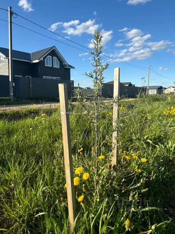 Участок в Новгородская область, Новгородский район, Савинское с/пос, ... - Фото 0