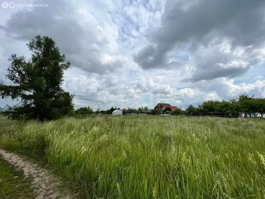 Участок в Лямбирский район, село Берсеневка (10 м) - Фото 2