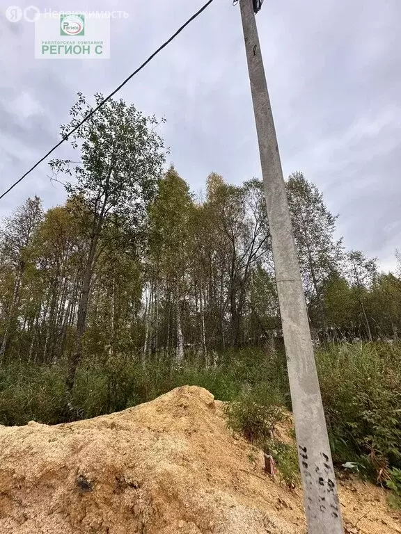 Участок в Архангельская область, Приморский муниципальный округ, СНТ ... - Фото 1