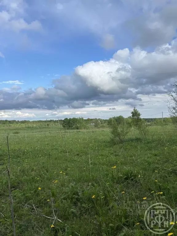 Участок в Ленинградская область, Ломоносовский район, Лопухинское ... - Фото 2
