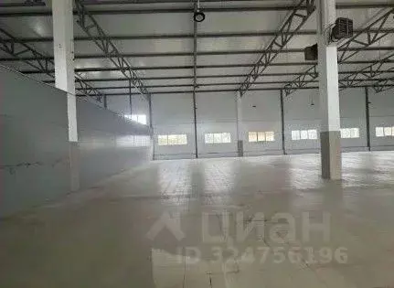 Склад в Ленинградская область, Отрадное Кировский район, Ленинградское ... - Фото 1