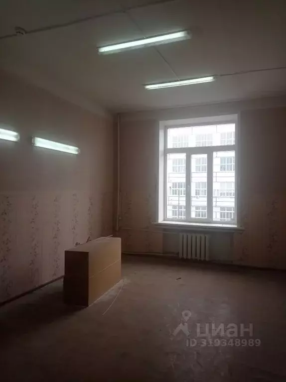 Помещение свободного назначения в Владимирская область, Владимир ... - Фото 0