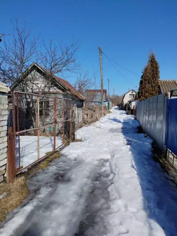 Дом в Брянская область, Брянск Дружба садовое общество, 2 (16 м) - Фото 1