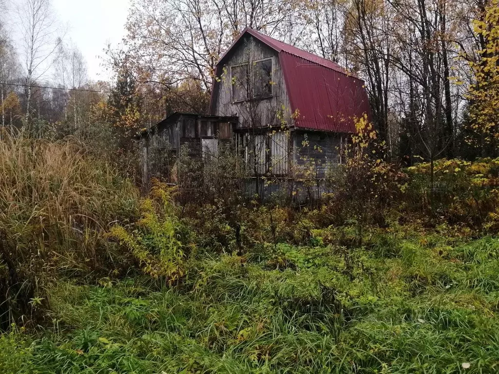 Участок в Калужская область, Ферзиковский муниципальный округ, ... - Фото 2