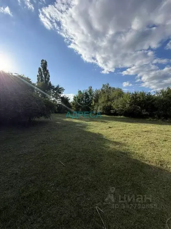 Участок в Белгородская область, Чернянский муниципальный округ, с. ... - Фото 2
