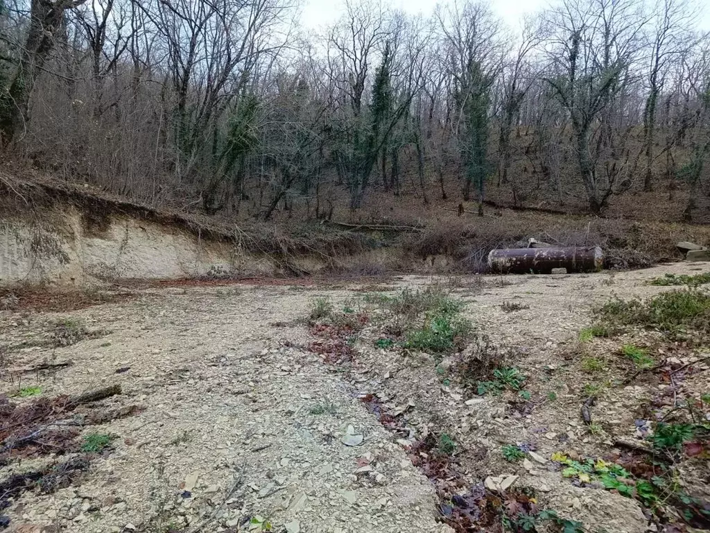 Участок в Краснодарский край, Новороссийск Цемдолина тер., ул. 8-я ... - Фото 1