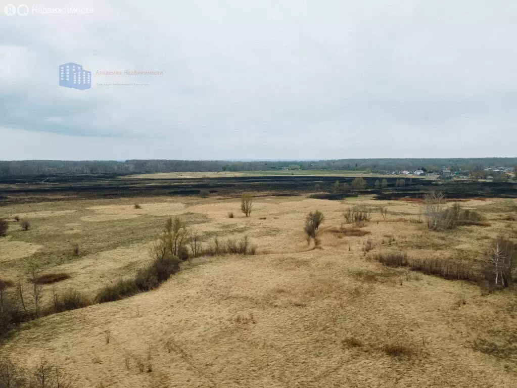 Участок в Калининградская область, Багратионовский муниципальный ... - Фото 2