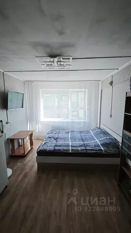 1-к кв. Амурская область, Благовещенск Трудовая ул., 29 (17.4 м) - Фото 1