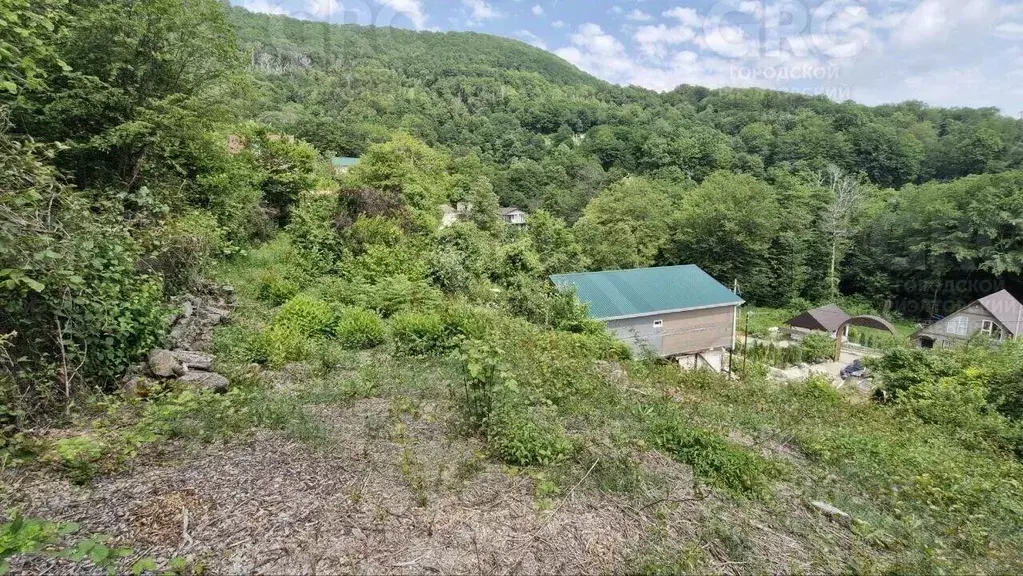 Участок в Краснодарский край, Сочи городской округ, с. Верхний Юрт ул. ... - Фото 1