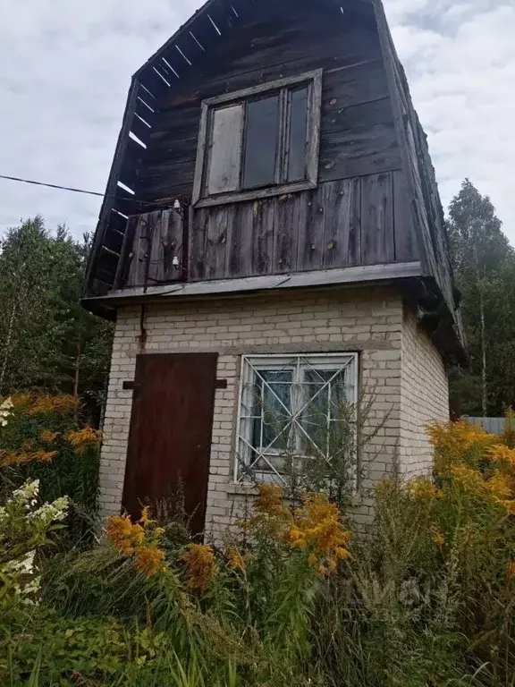 Участок в Нижегородская область, Бор муниципальный округ, д. Першино ... - Фото 1
