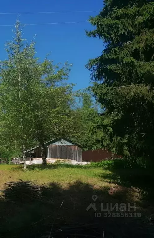 Участок в Ленинградская область, Тихвинский район, Горское с/пос, д. ... - Фото 2