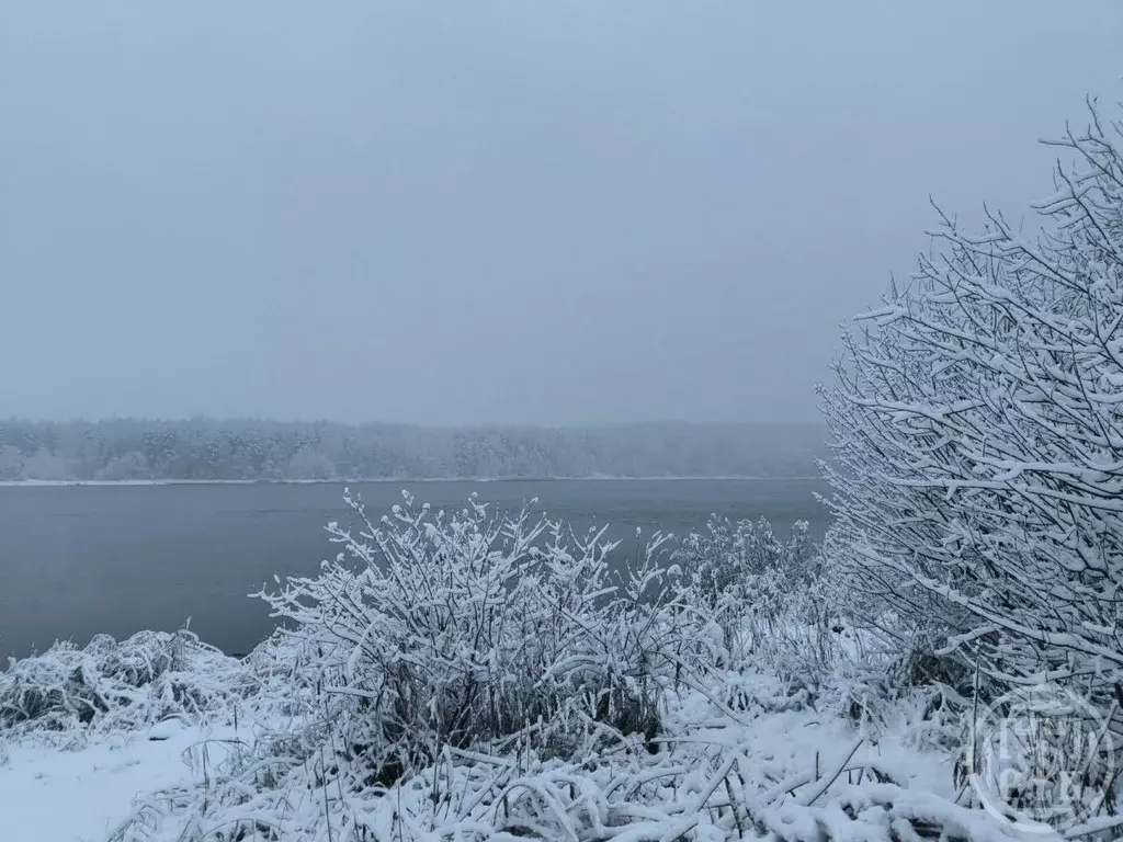 Участок в Ленинградская область, Приозерский район, Ромашкинское ... - Фото 1